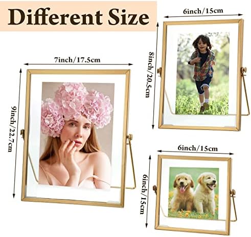 Amyhill 6 Piece Gold Floating Picture Frame Set